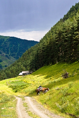 Trekking in Georgia, Caucasus